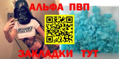 индика Кингисепп