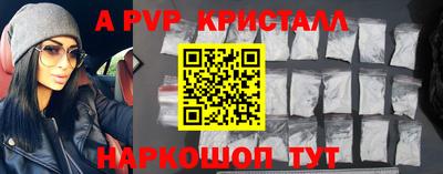 индика Кингисепп