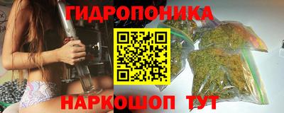 индика Кингисепп