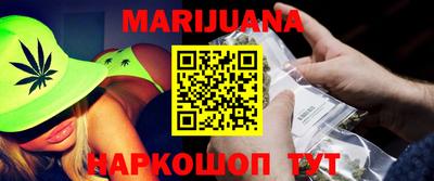 индика Кингисепп