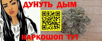 индика Кингисепп