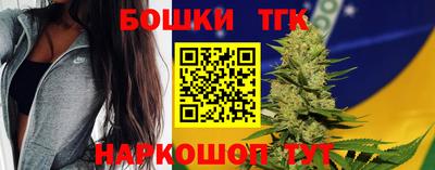 индика Кингисепп