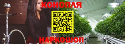 индика Кингисепп