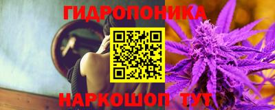 PSILOCYBIN Кимры