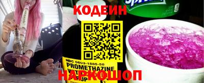 индика Кингисепп