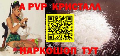 индика Кингисепп