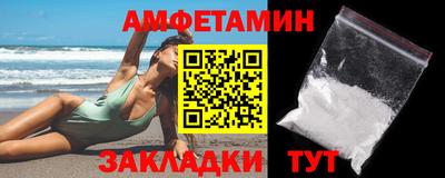 индика Кингисепп