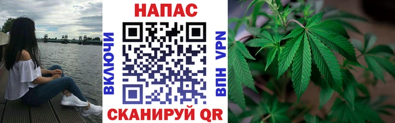 Бошки Шишки White Widow Спасск-Дальний