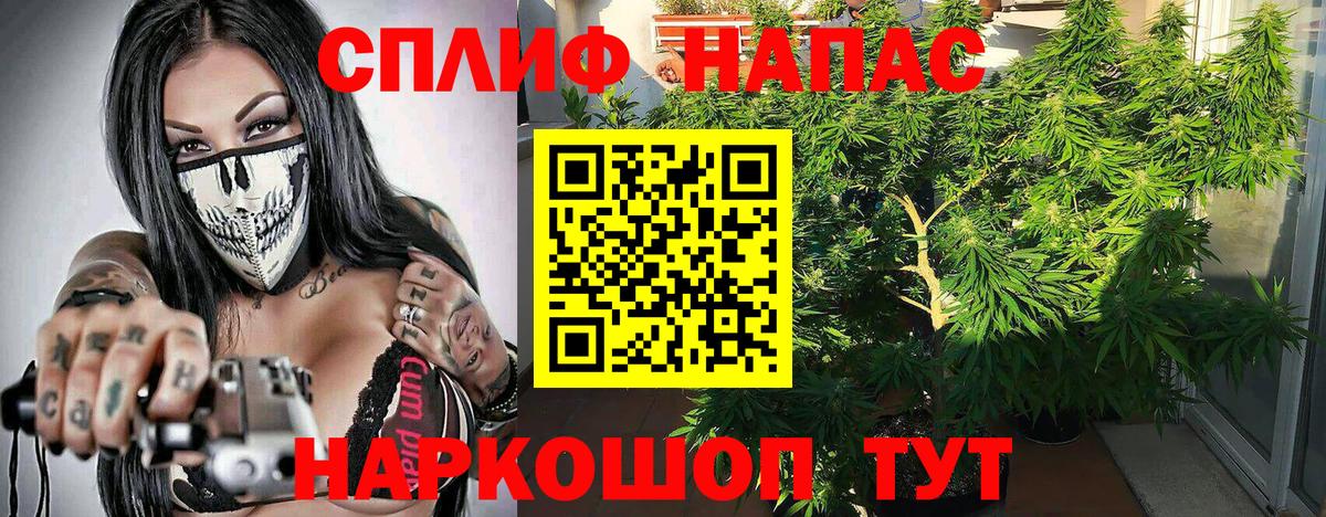 Каннабис планчик Спасск-Дальний